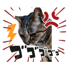 [LINEスタンプ] ポポ様スタンプ03