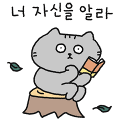 [LINEスタンプ] 読書に及ぼした猫