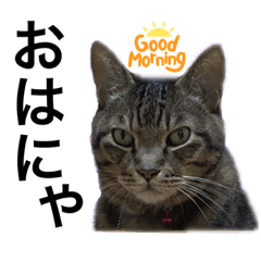 [LINEスタンプ] 毛玉ハウスへようこそ4