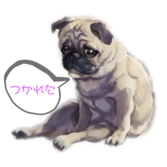 [LINEスタンプ] パグとおともだち