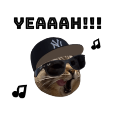 [LINEスタンプ] はらっぺらし猫2