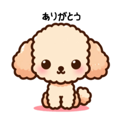 [LINEスタンプ] トイプードルのかわいいスタンプたち