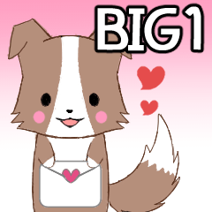 [LINEスタンプ] BIG！ちびボーダーコリー1