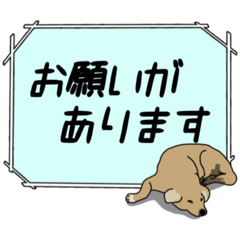 [LINEスタンプ] 使いやすいラブラドールレトリバースタンプ