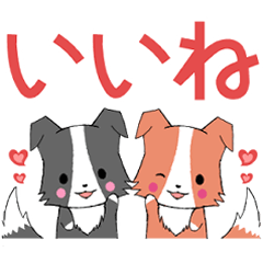 [LINEスタンプ] 動く！ちびボーダーコリー3