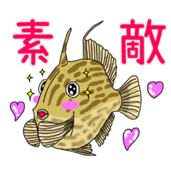 [LINEスタンプ] 魚好きの日常イラストスタンプ