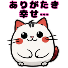 [LINEスタンプ] まんまるな猫の優しくて幸せな一言