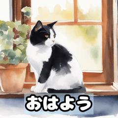 [LINEスタンプ] 猫のスタンプ 40-37