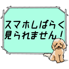 [LINEスタンプ] 学校で使いやすいトイプードルスタンプ