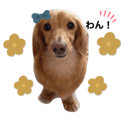 [LINEスタンプ] ぷちくんすたんぷの画像（メイン）