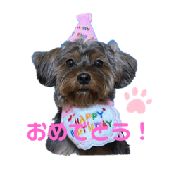 [LINEスタンプ] めろさんの挨拶