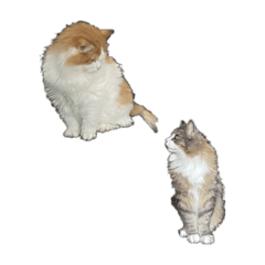 [LINEスタンプ] アルラキスタンプPart3