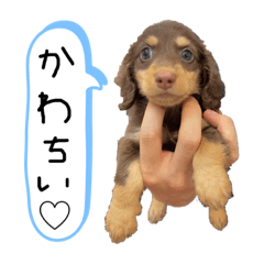 [LINEスタンプ] Unaちゃんシリーズ1