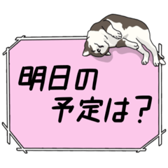 [LINEスタンプ] 家族で使いやすい連絡事項スタンプ