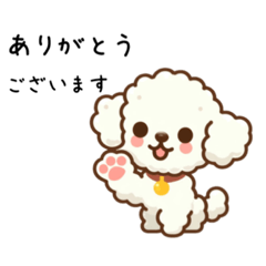 [LINEスタンプ] かわいいトイプードルたちのスタンプ