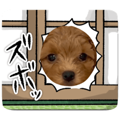 [LINEスタンプ] ワンコNo.2❤️