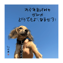 [LINEスタンプ] ポジティブシェリ蔵の迷言しゅう