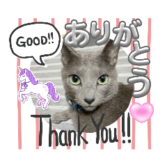 [LINEスタンプ] russianblue❤グリの部屋にようこそ2