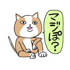 [LINEスタンプ] イキりねこスタンプ