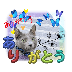 [LINEスタンプ] russianblue❤グリの部屋へようこそ4