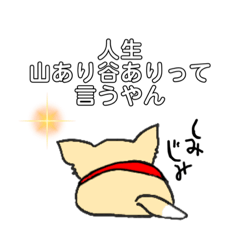 [LINEスタンプ] わんこは大体、尻と尻尾で語る・2