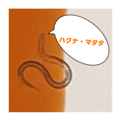 [LINEスタンプ] ねこぷすたんぷ