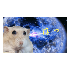 [LINEスタンプ] すべてを知ってしまった宇宙ハムスター