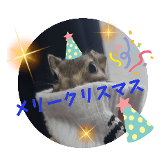 [LINEスタンプ] みんなと一緒 27