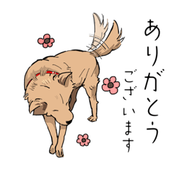 [LINEスタンプ] 雑種犬ジジ