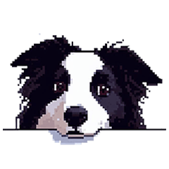 [LINEスタンプ] ドット絵 ボーダーコリー 日常会話 40種