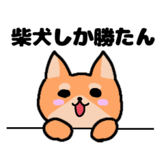 [LINEスタンプ] ゆるかわ☆柴犬