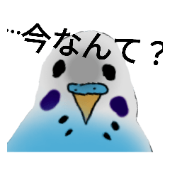 [LINEスタンプ] インコーズコレクション☆