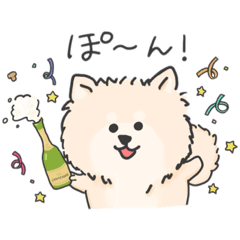 [LINEスタンプ] ポメラニアンのぽんちゃん(その1)