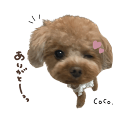 [LINEスタンプ] なつちゃん♡CoCoちゃんdeformation