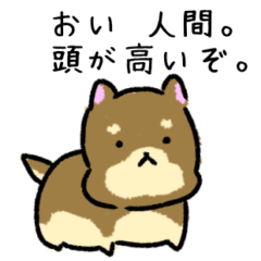 [LINEスタンプ] 仕方ないな、人間。オレが構ってやる。