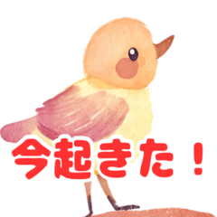 [LINEスタンプ] 愛らしい動物の表情