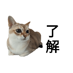 [LINEスタンプ] はるpart4