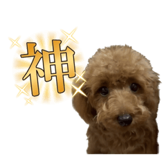 [LINEスタンプ] ふうわとリリィ