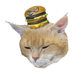 [LINEスタンプ] 愛猫ポテトスタンプ