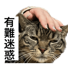 [LINEスタンプ] うちのゲベナマ3