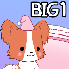 [LINEスタンプ] BIG！ちびパピヨン1