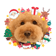 [LINEスタンプ] ぷーくん3