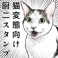 [LINEスタンプ] 意外と使える猫マニア向けスタンプ