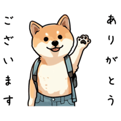 [LINEスタンプ] かわいい柴犬たちのスタンプ