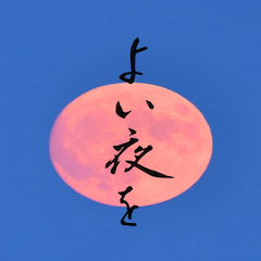 [LINEスタンプ] なな子語録～素敵な風景を添えて