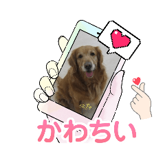 [LINEスタンプ] ◎TSBのゆかいな仲間たち◎
