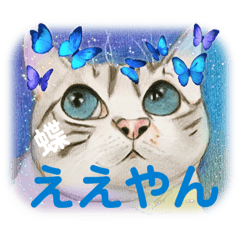 [LINEスタンプ] おおさかねこちゃん16