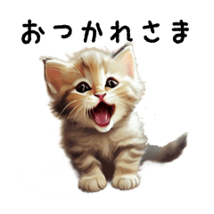 [LINEスタンプ] 子猫スタンプ(挨拶)