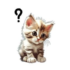 [LINEスタンプ] 子猫スタンプ(日常)