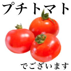 [LINEスタンプ] 【敬語】プチトマト です